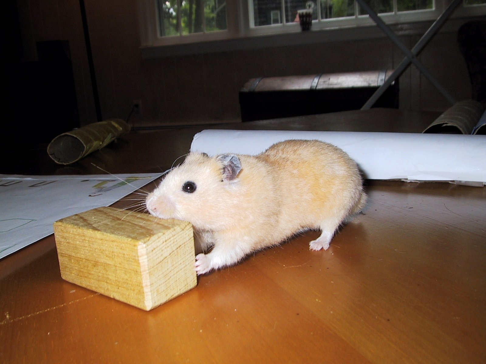 2002 California vacation 120.jpg